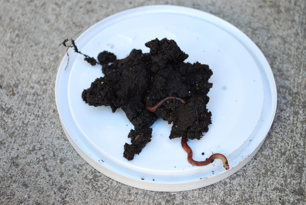 We've Got Worms, Part 1