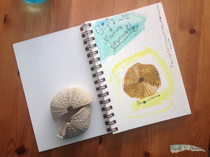 Simplifying science and embarking on nature journaling