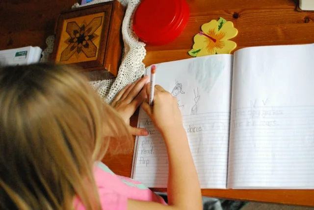 A little 2nd grade homeschool update