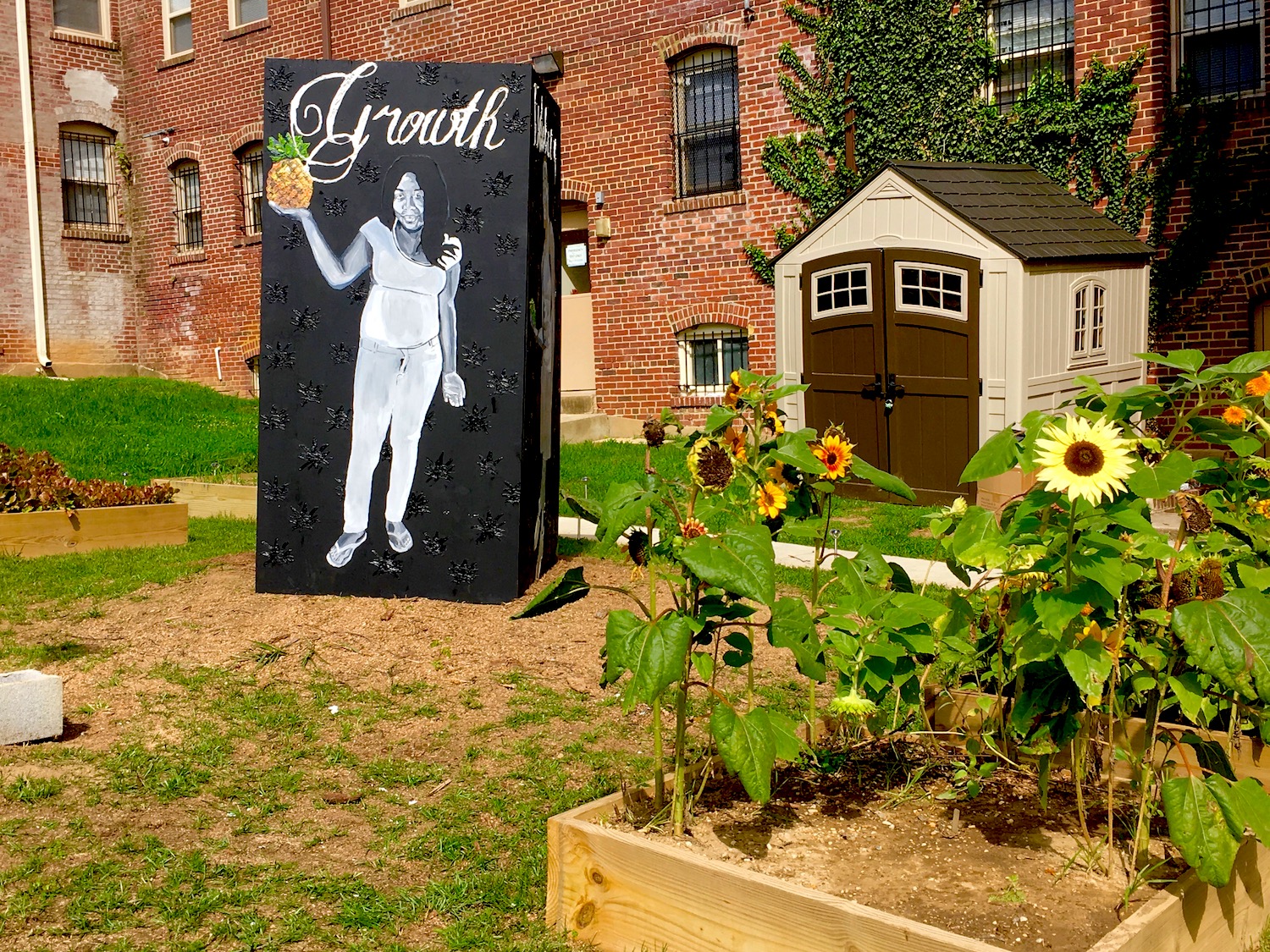 growth_urban_garden_bridgeparkplot.jpeg