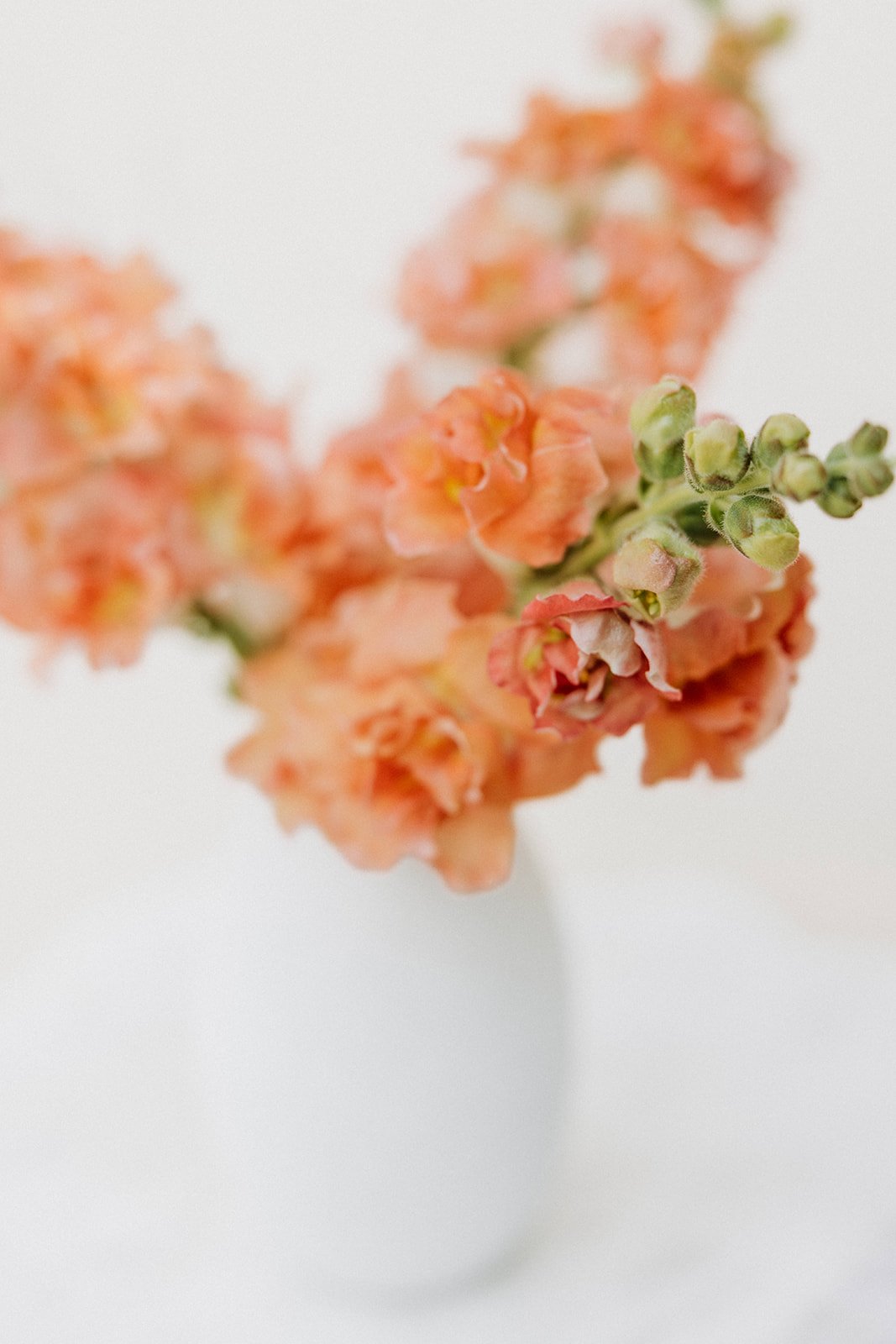 AB916341-7B08-4508-945D-221FDE7BDC95.jpeg