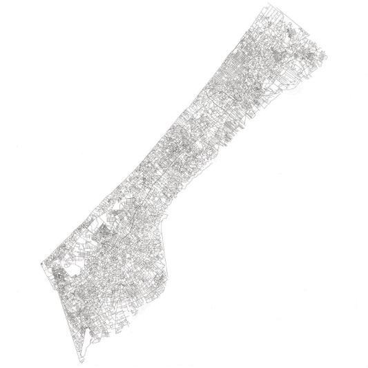 DEVELOPMENTAL DISORDER