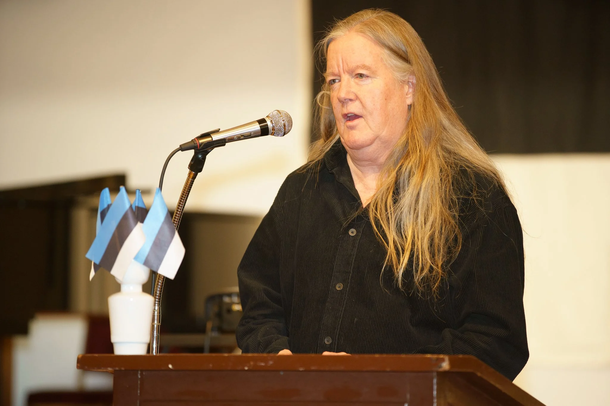 Vabariigi Aastapaev 2026-27.jpg