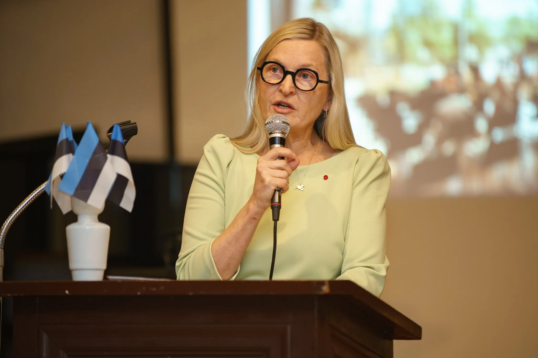 Vabariigi Aastapaev 2026-43.jpg