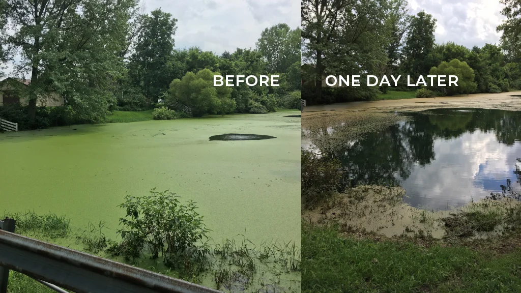 Before After.jpg