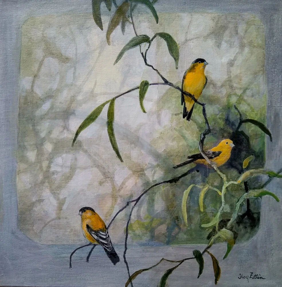 Lesser Goldfinch 14” x 14” acrylic on canvas