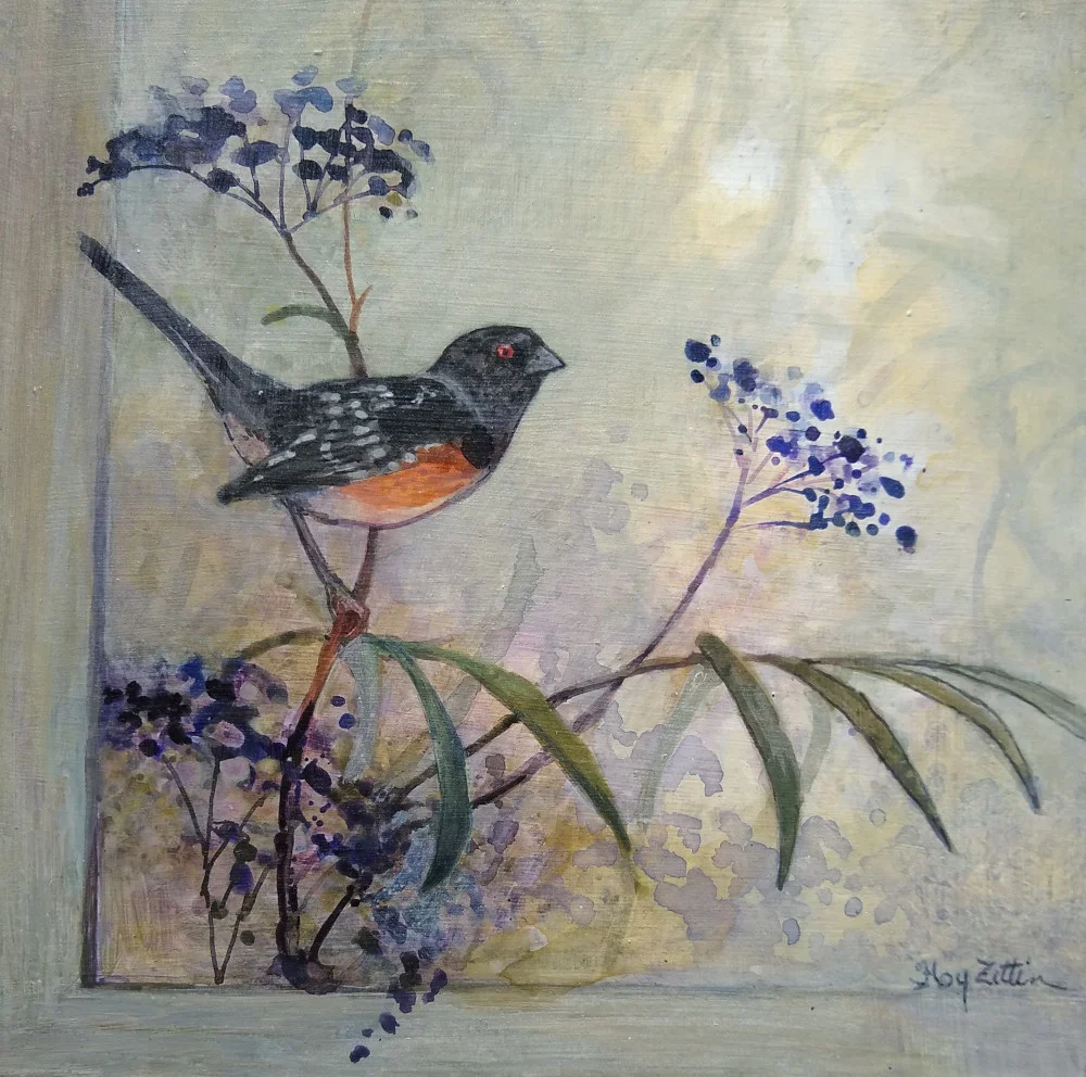 Spotted Towhee 8” x 8” acrylic on wood panel