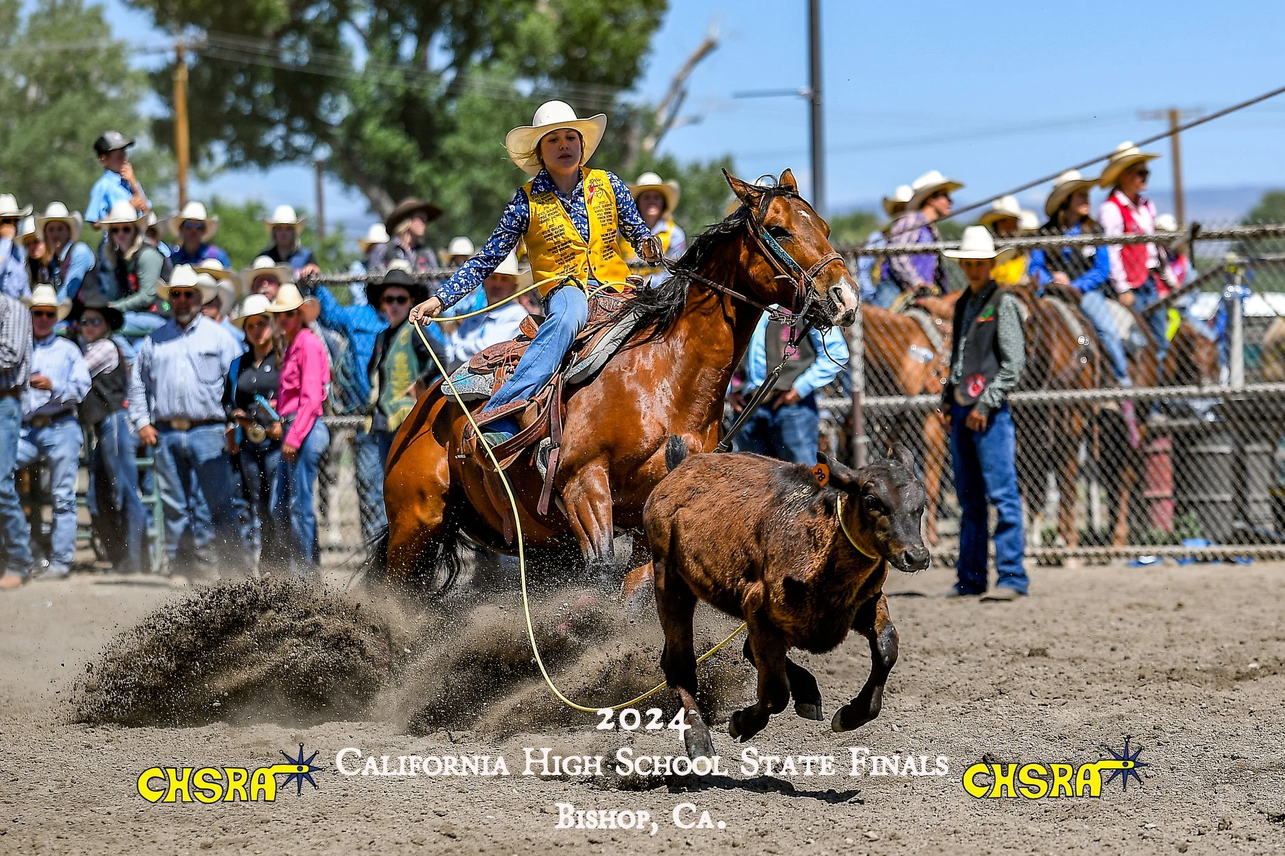 2024_CHSRA_HS_STFIN_BW_R1_ELTHIA GOMES (11)-2.jpg