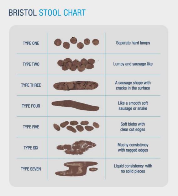 Alternative Bristol Stool Chart