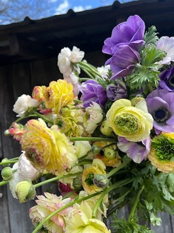 Flower Lovers Club Membership