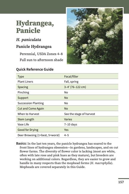 Paniculata 2 page.jpg