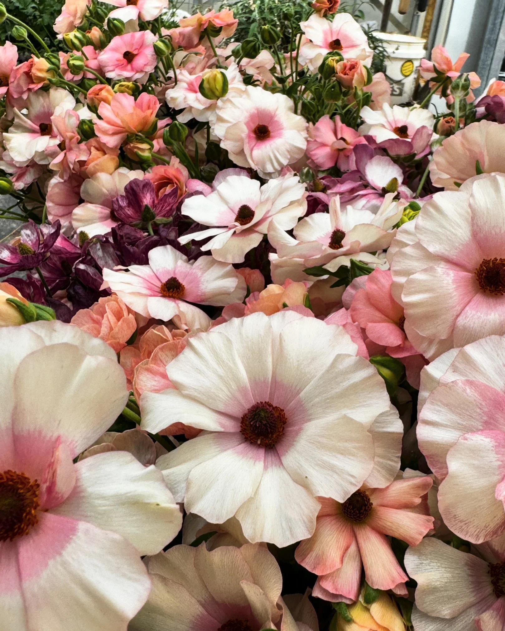 The Lux Flower Club, Monthly Subscription