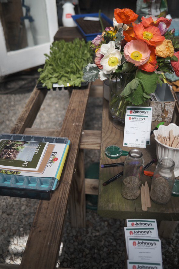 Seed Starting Workshop  terra flower farm