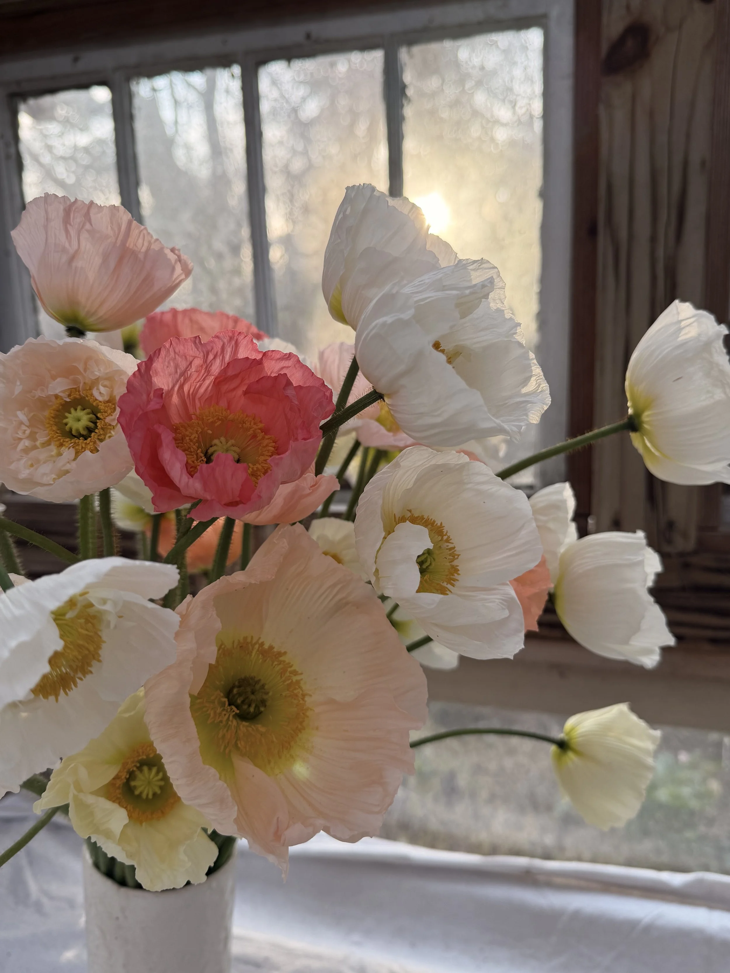 Terra Flower Club Membership