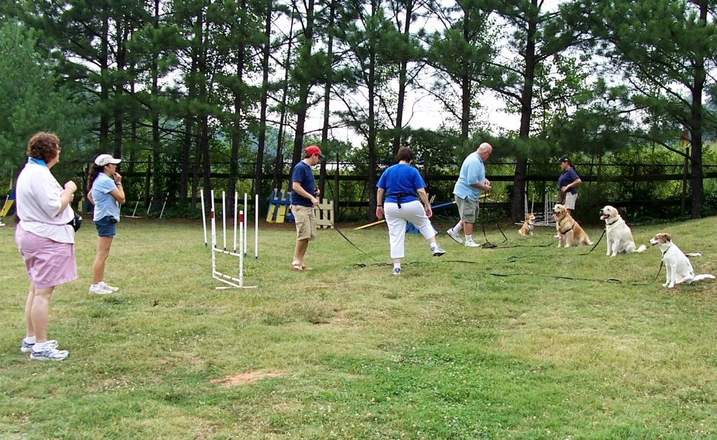 Puppy Training — Atlanta Dog Trainer