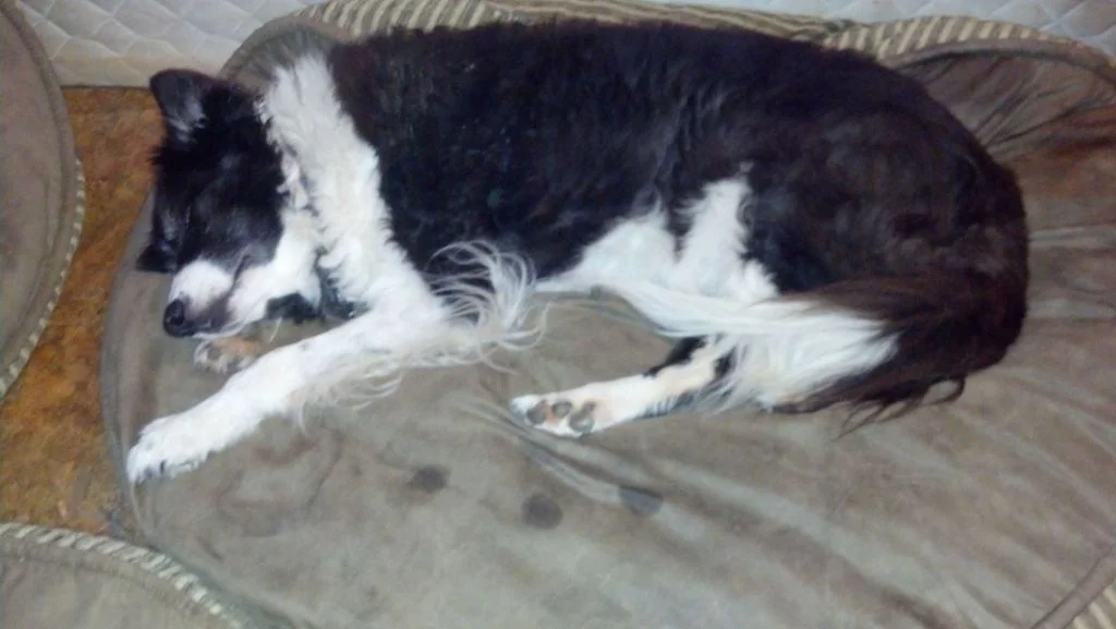 elijsha-asleep-1024x577.jpg