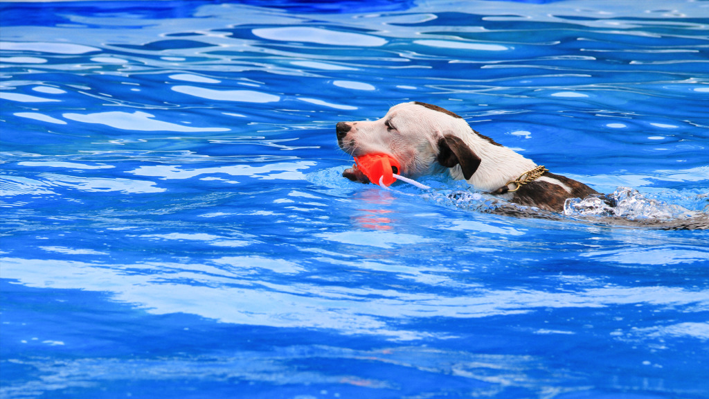 IMG_0624_Web-1024x576.jpg