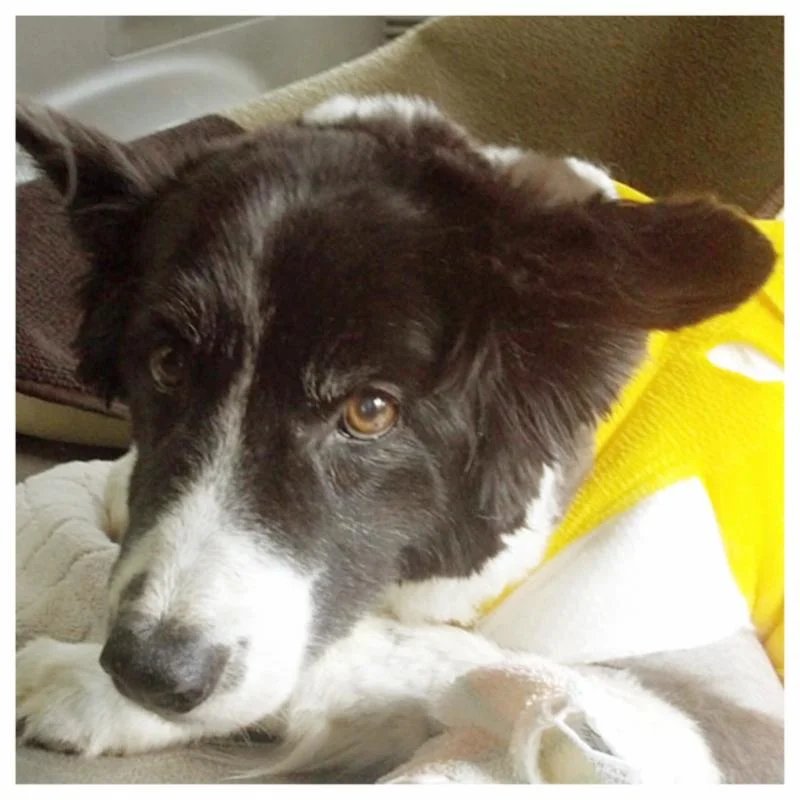 Don't Hide From Your Dreams!