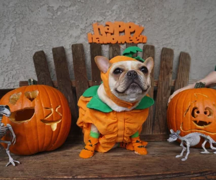 Tip of the Month: Halloween Edition!