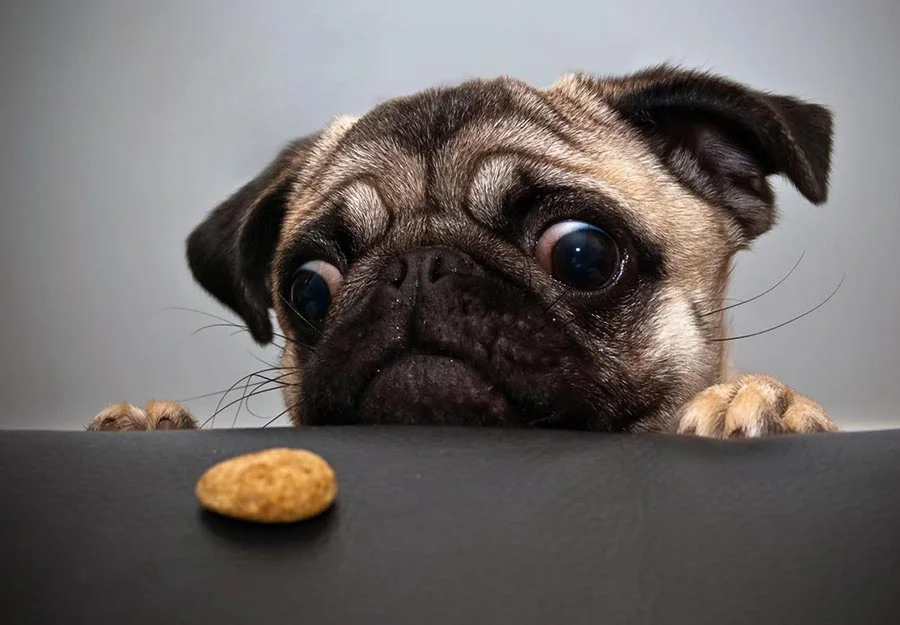 Tip of the Month: Leave it!