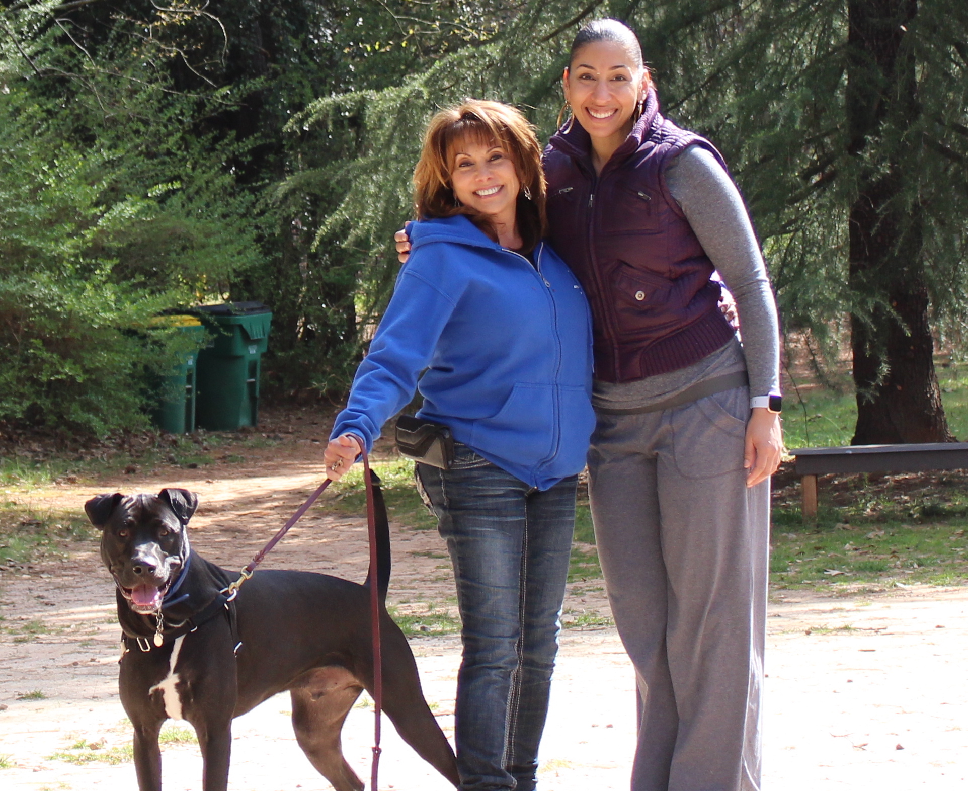 terry ryan dog trainer