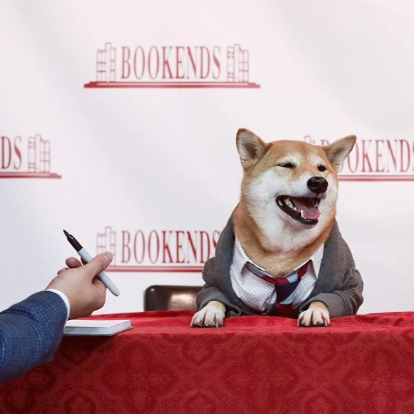 Top 3 odd things that dogs do