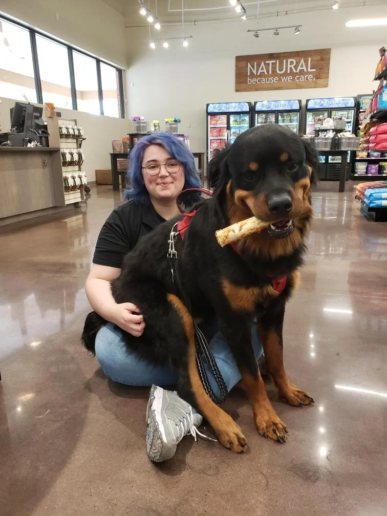 Ryker the 110 pound Rottweiler. He was reactive to dogs and we worked with him to the point where he got so much better that we could take him into a Pet Smart for socialization exercises.