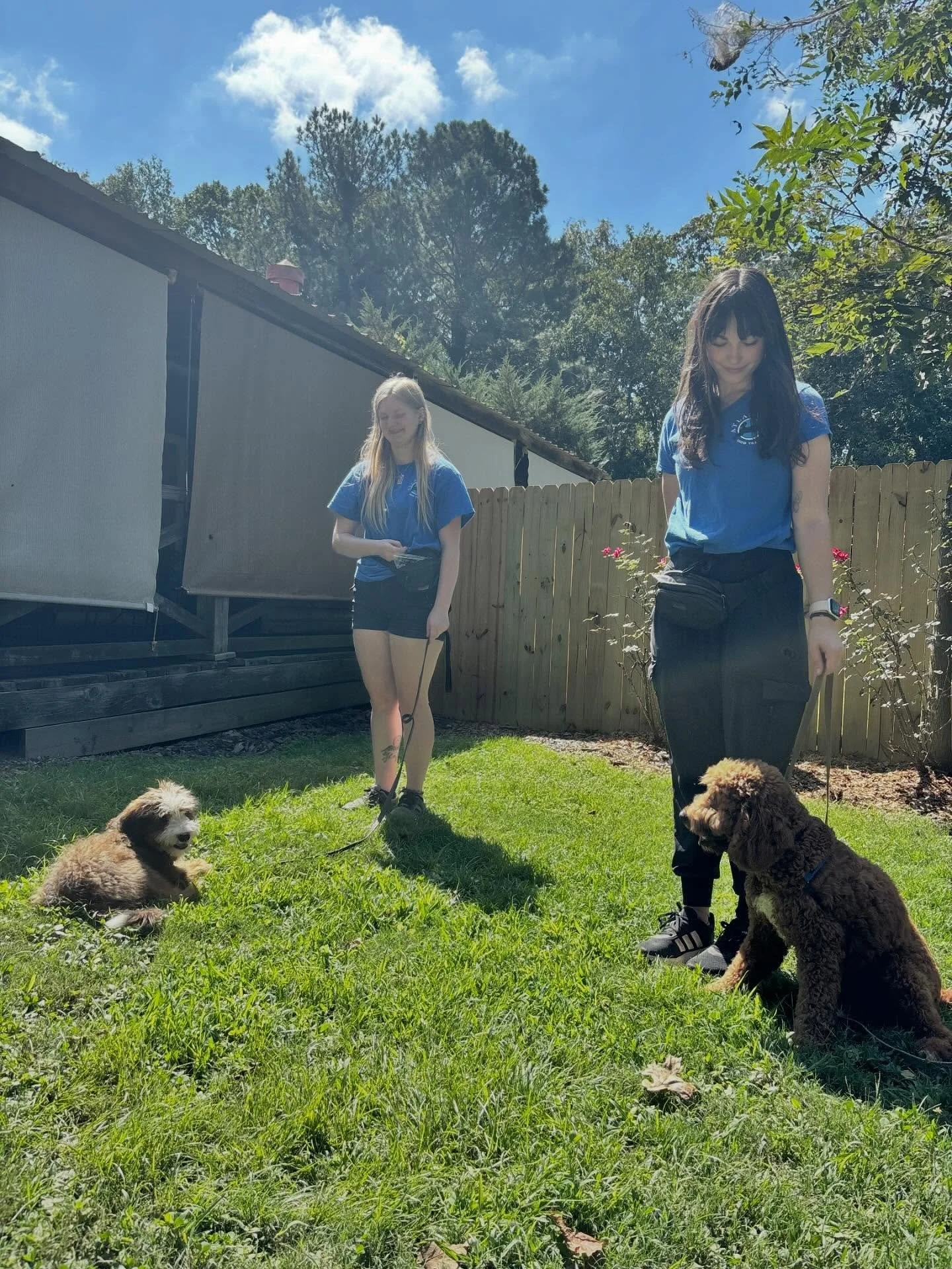 Happy Thursday from Atlanta Dog Trainer! 🐾
We&rsquo;ve been busy having a blast with our pups today &mdash; here&rsquo;s a little glimpse of the fun:

✨ Rachel &amp; Madeline working hard with our Board &amp; Train students
✂️ Marissa giving a sweet