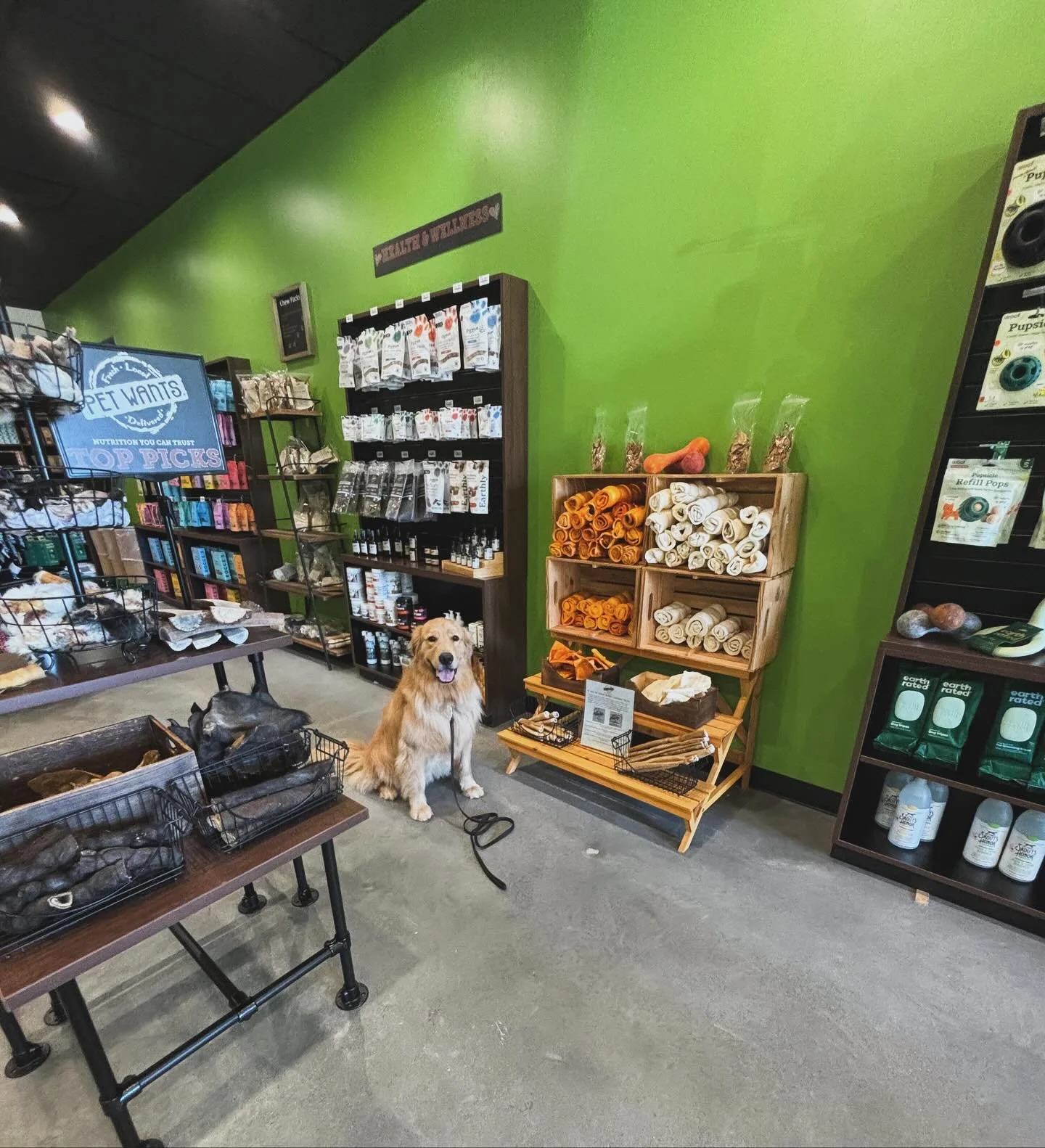 Out and about training Samson and Frankie at Pet Wants today!
Real-world distractions like new scents and foot traffic make the best proofing opportunities. We couldn&rsquo;t resist restocking on Pet Wants training treats &mdash; our board &amp; trai