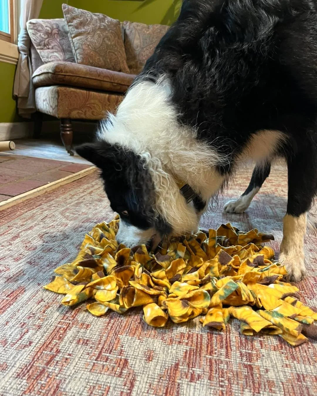 Since launching our enrichment services, the dogs have been obsessed!
We&rsquo;re kicking off our first holiday-themed enrichments with Thanksgiving fun 🦃🍁

Just a reminder &mdash; our boarding and daycare already include tons of playtime, stimulat