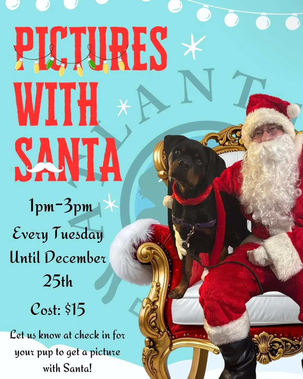 Pictures with Santa at Atlanta Dog Trainer!
Every Tuesday from 1pm&ndash;3pm until Christmas &mdash; we can&rsquo;t wait for your pups to meet Santa! 🎄
You can call to schedule an appointment to stop by, or simply ask at drop-off for boarding or day