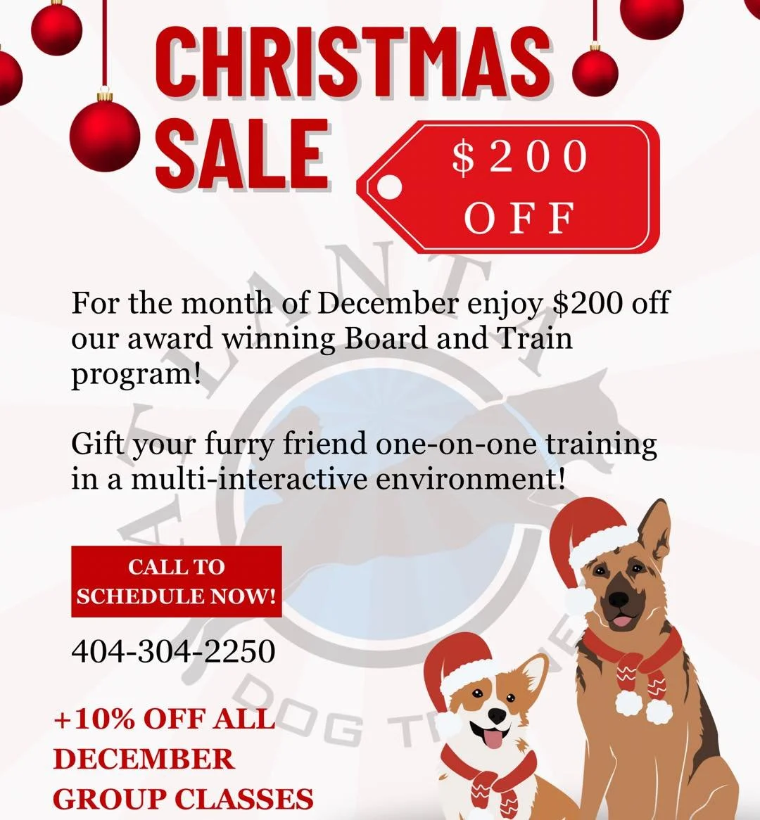 🎄 CHRISTMAS SALE &mdash; DECEMBER ONLY!🎄
There is nothing better than starting the New Year with a dog who listens 👏
If you&rsquo;ve been dreaming of a calm, polite, well-mannered dog&hellip; this is your sign.
For December only, enjoy $100 OFF pe