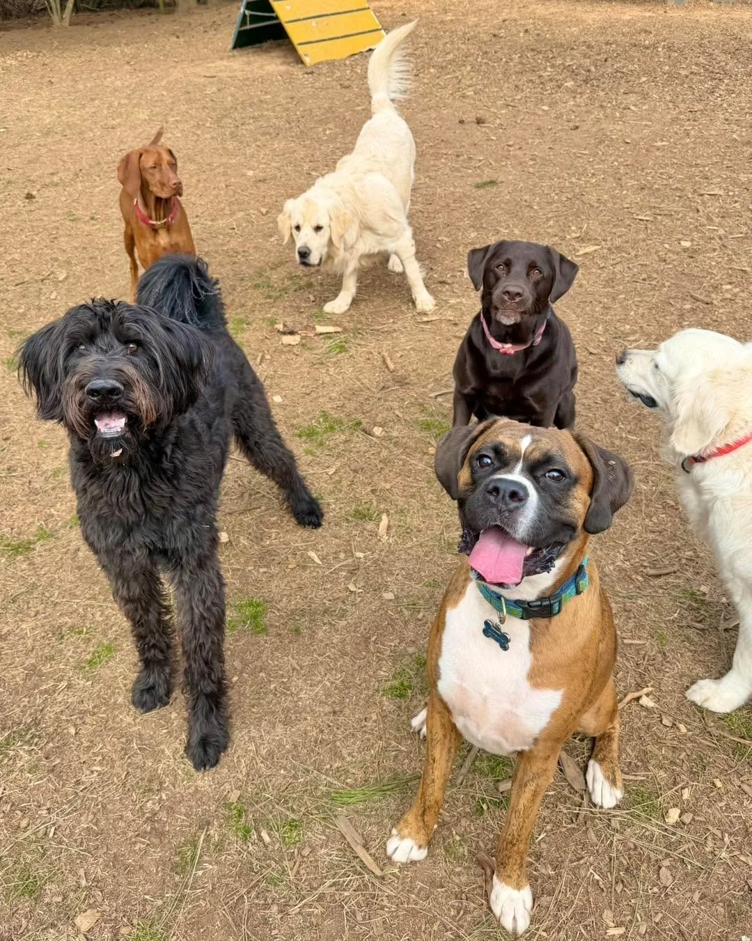 Play hard. Nap harder. The perfect daycare rhythm💕💕