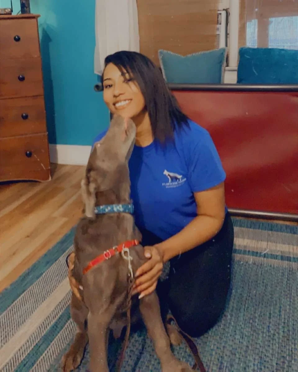 Training Staff — Atlanta Dog Trainer