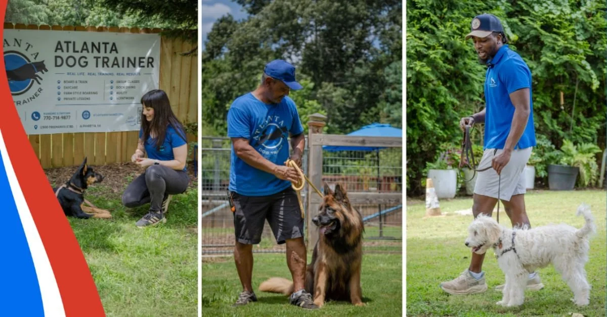 Atlanta Dog Trainer team leading an agility or obedience demonstration during the community dog festival