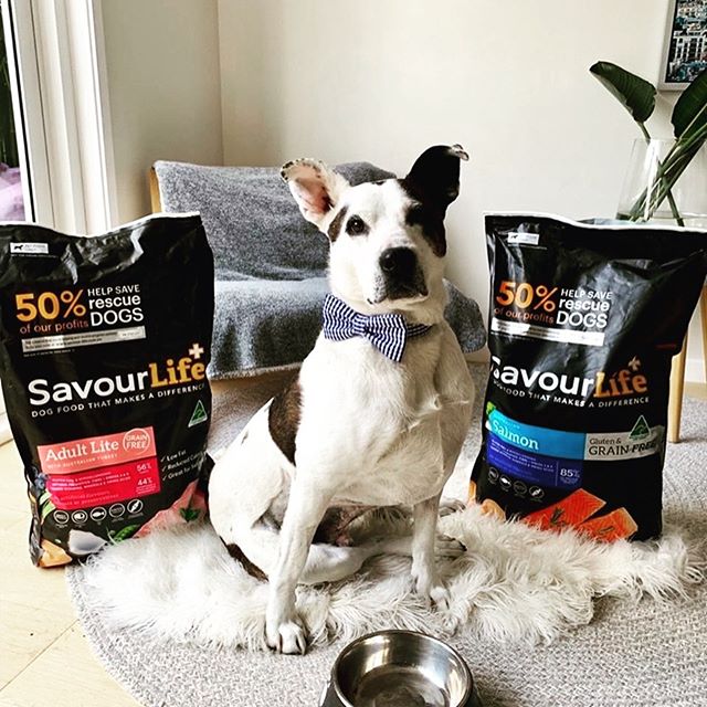 CAN YOU HELP TEDDY FEED OUR DOGS CURRENTLY IN  FOSTER CARE AND DOGS THAT WILL CONTINUE TO ARRIVE IN THE NEXT WEEKS AND MONTHS🤞🙏🐶🐶🐶🐶🐶🐶🐶 HOW YOU ASK?? SIMPLES😁

Teddy's awesome foster carers Michael and Kim, founders of SavourLife, have heard