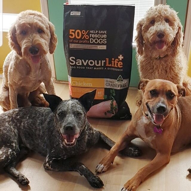 WANT TO HELP US FEED OUR DOGS CURRENTLY IN  FOSTER CARE AND DOGS THAT WILL CONTINUE TO ARRIVE IN THE NEXT WEEKS AND MONTHS?🤞🙏🐶🐶🐶🐶🐶🐶🐶 HOW YOU ASK?? SIMPLES 😀 🐾 For every 2.5kg grain free bag you purchase from www.savour-life.com.au  they wi