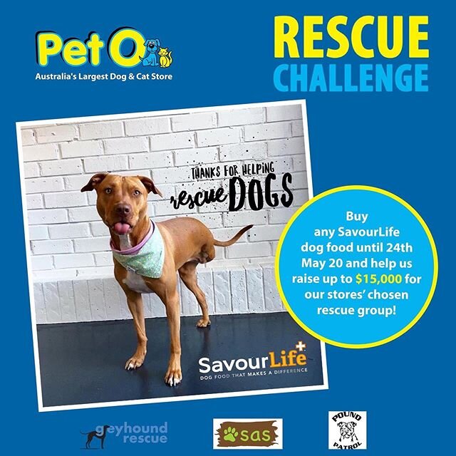 Help us meet our goal for the next @savourlife @peto.official food drive! Thank you for all your love &amp; supper/support from all our hungry doggies 💚🥰🤗