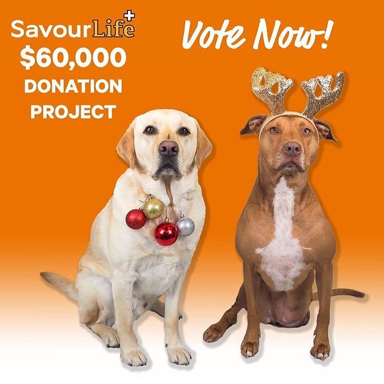 WE NEED YOUR HELP NOW

VOTE for SAS today please in the Savourlife $60K donation project... just over 8 hours to go now⏰🧨🙏🤞💜👇

https://savourlife60kxmas.pgtb.me/8PLHX1

We currently have 169 votes and need to secure at least 100 or so more votes