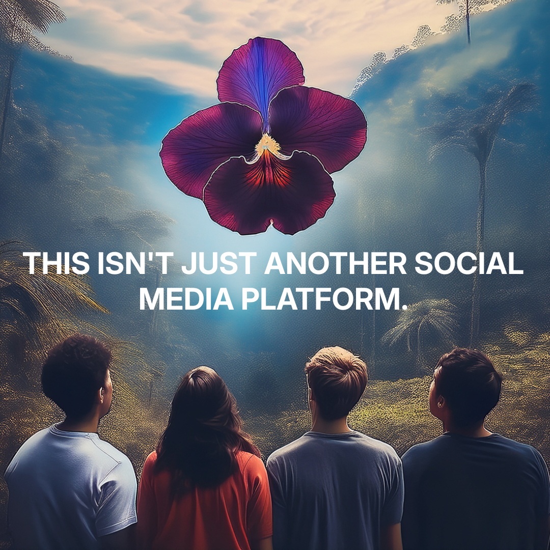 CoverImageCampaign2 Viollette.png