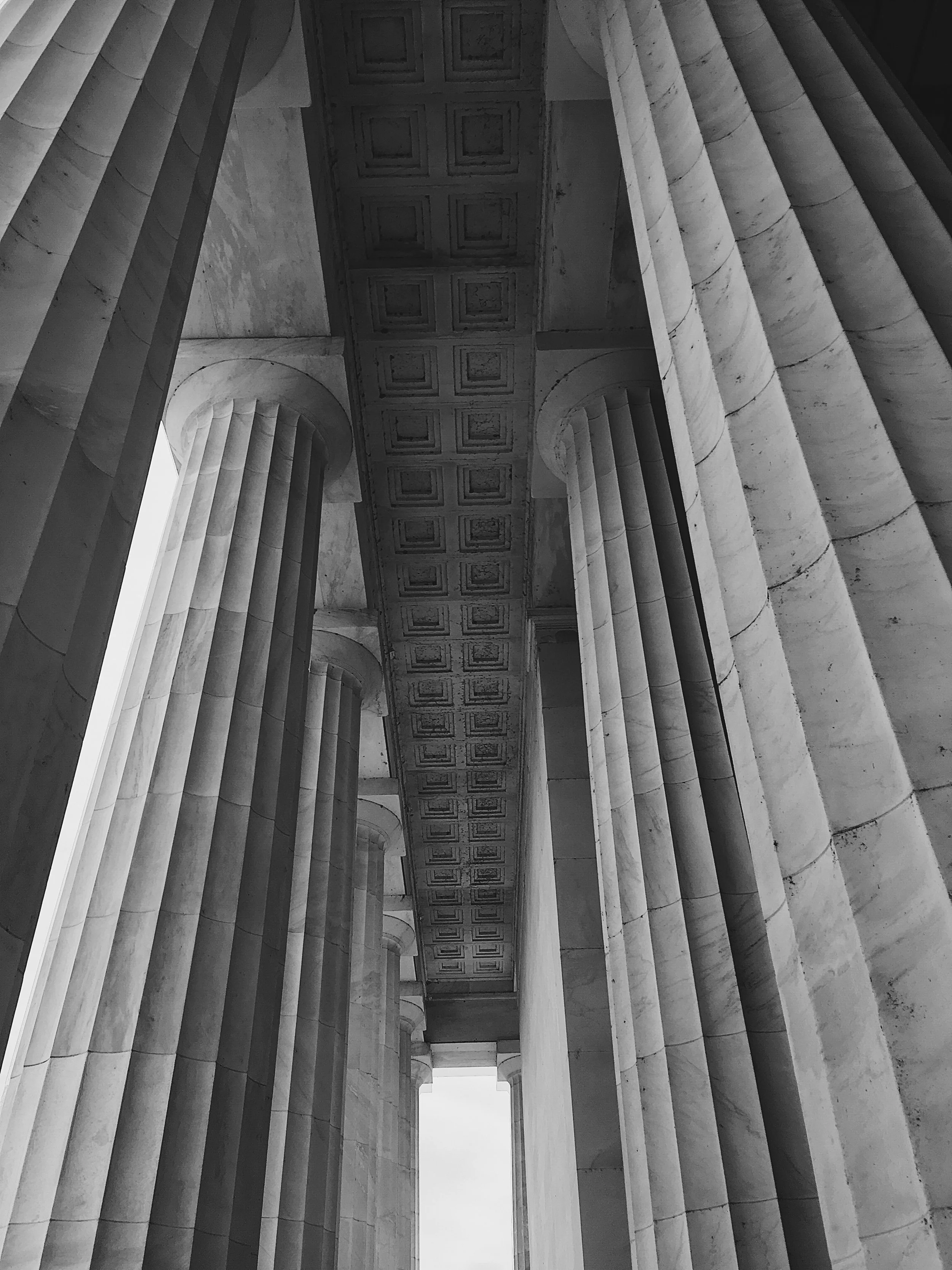 The Educated Passions