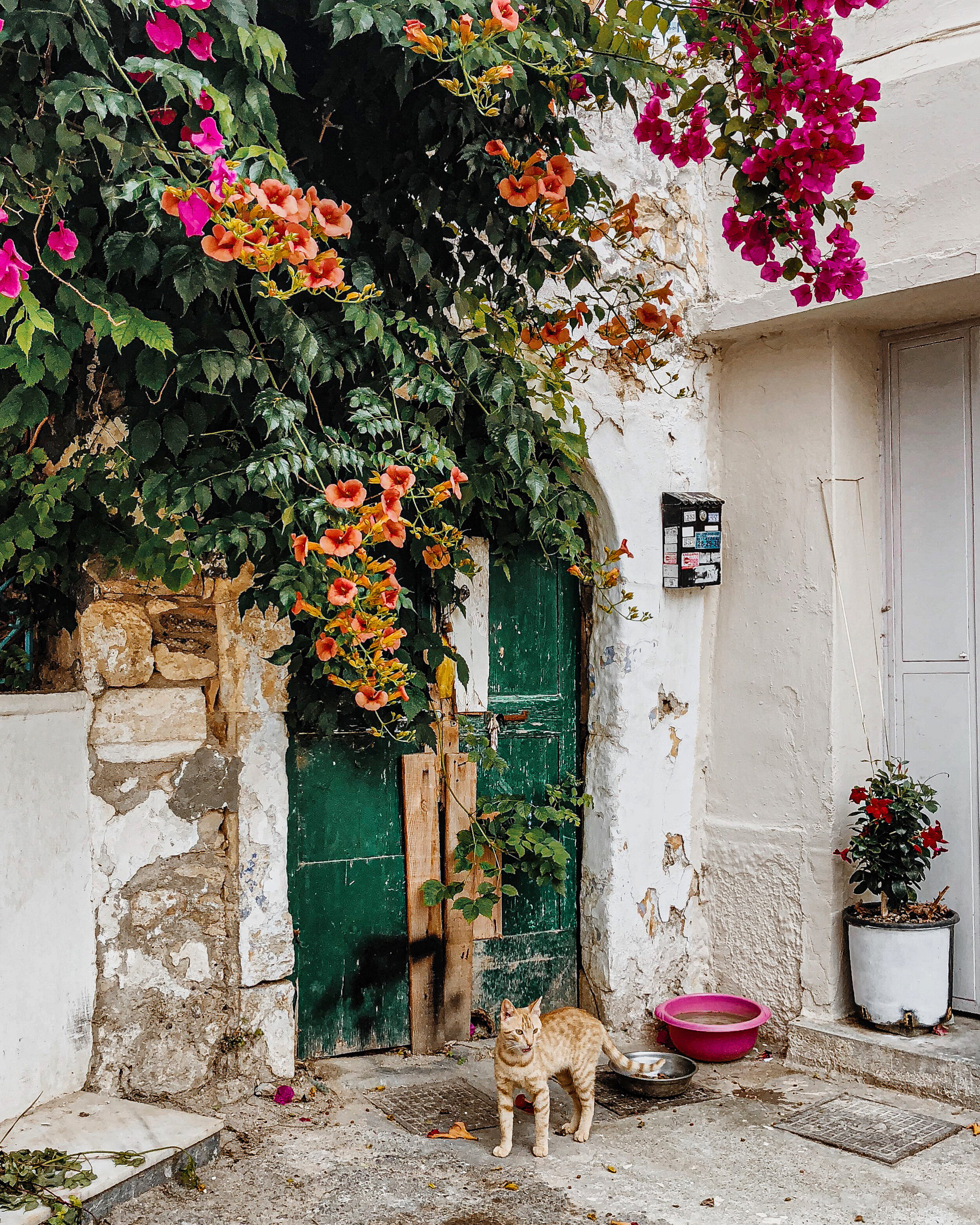 Whether Poetry Or Picture Books Ekstasis Magazine