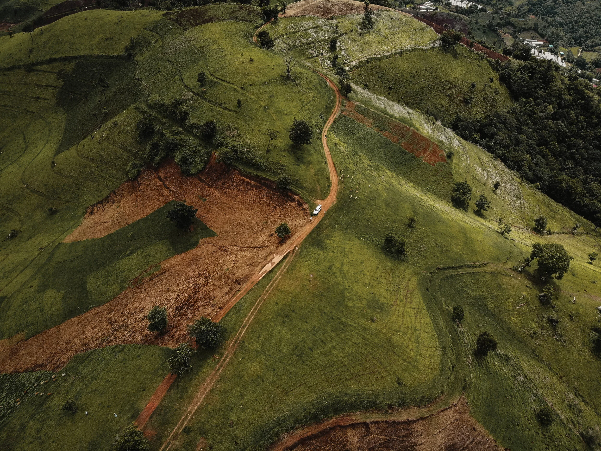 Unravelled in the Vineyard