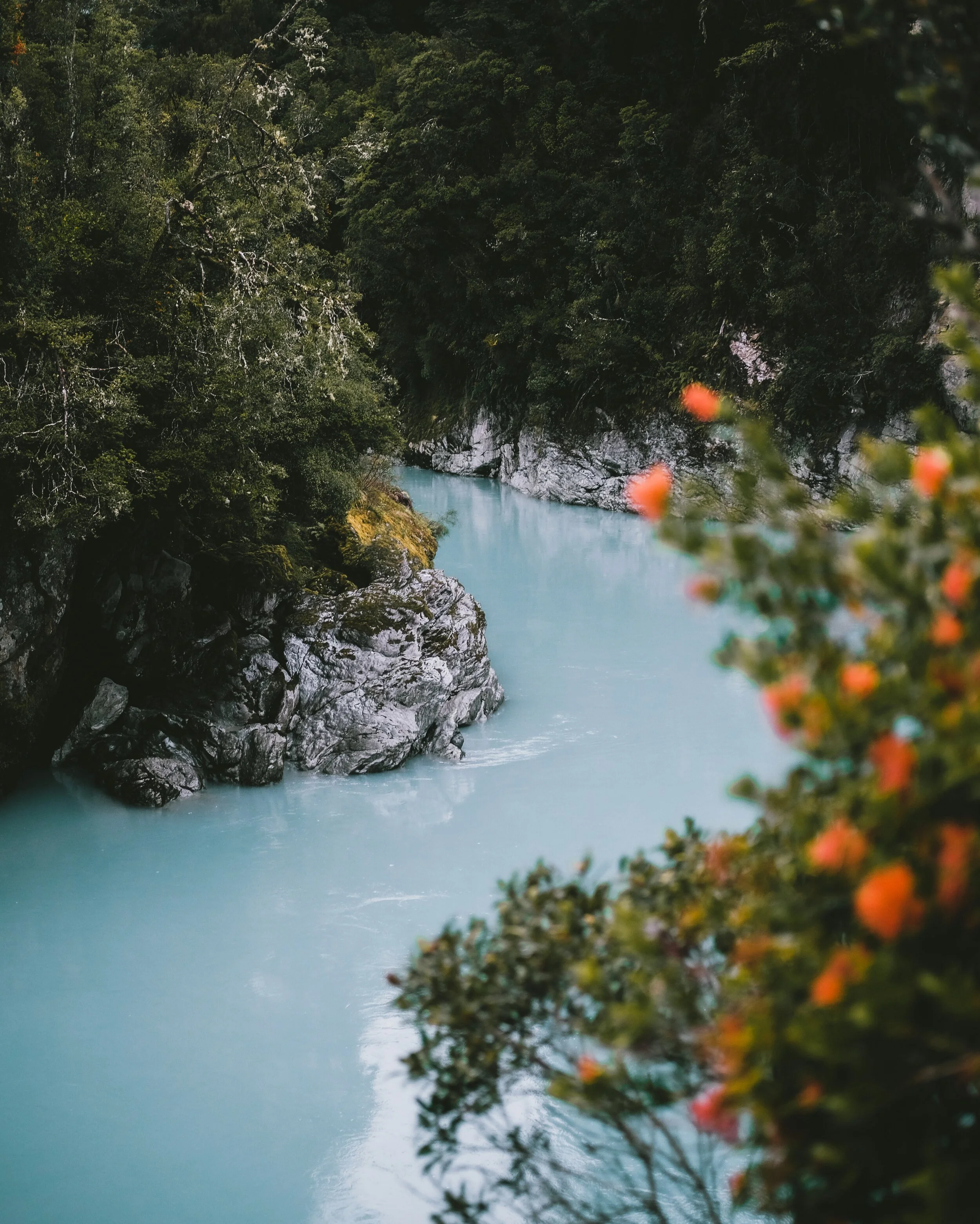 Tenting, Spiders, and the New Jerusalem