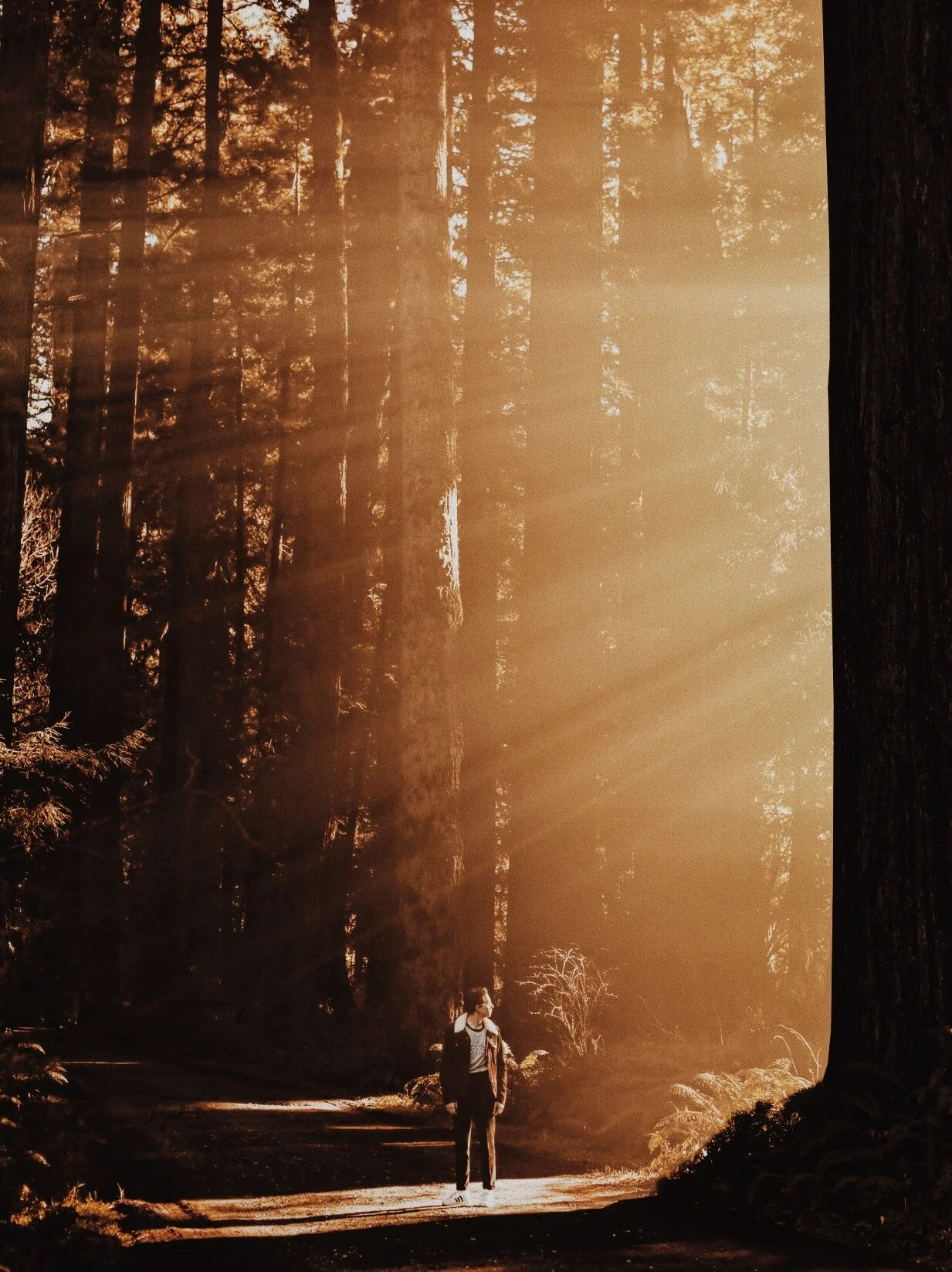 Am I My Brother's Keeper?