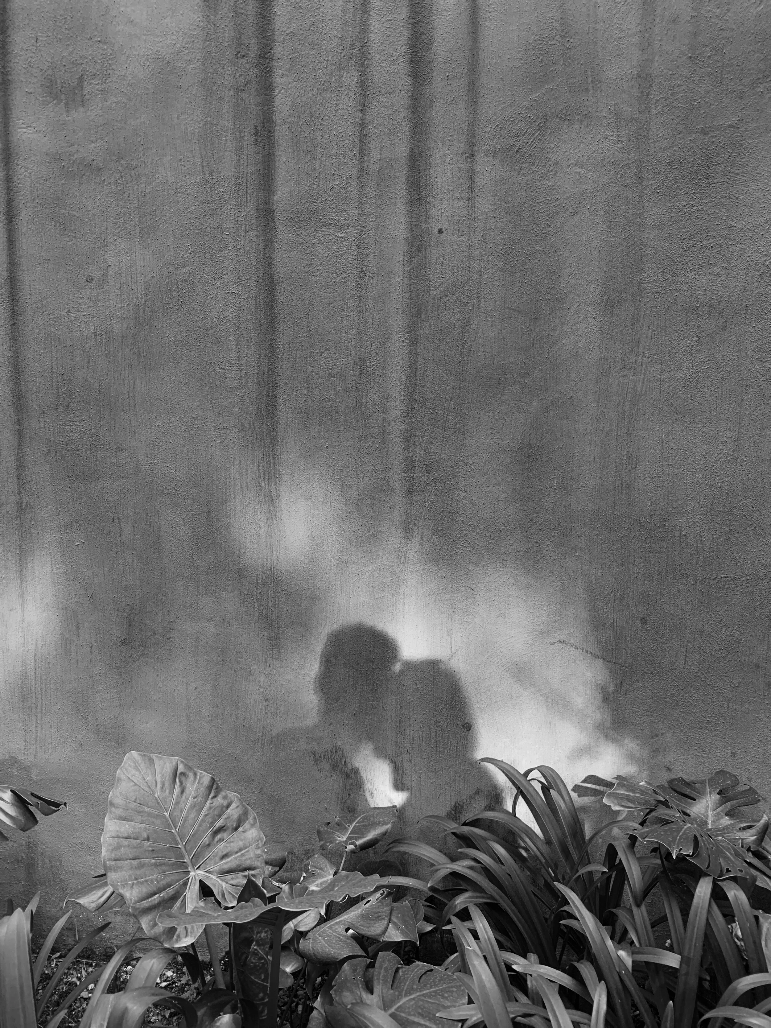 More than Once in a Lifetime