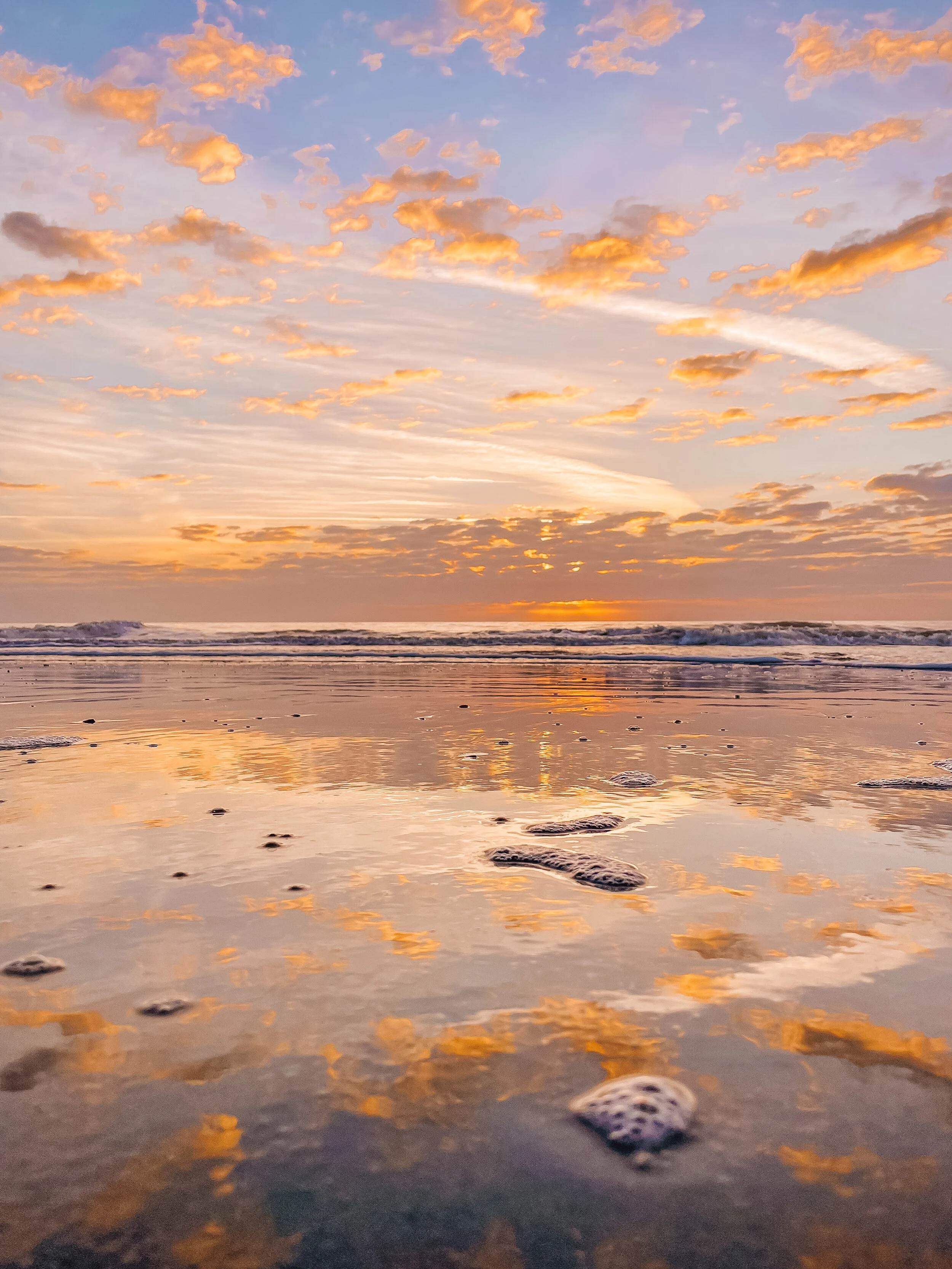 In Memory of Mary Oliver