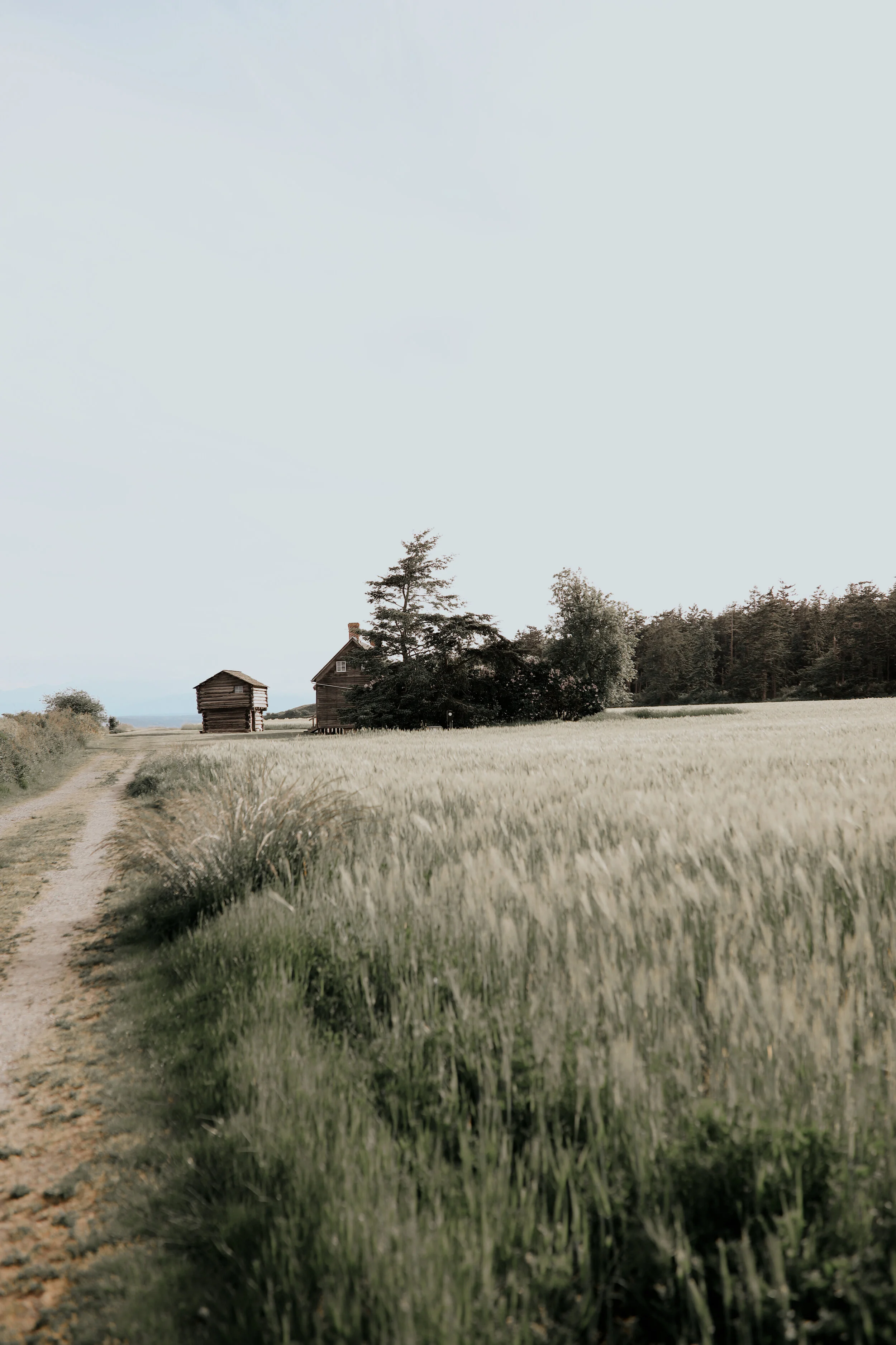 Failed Adoption, Michigan