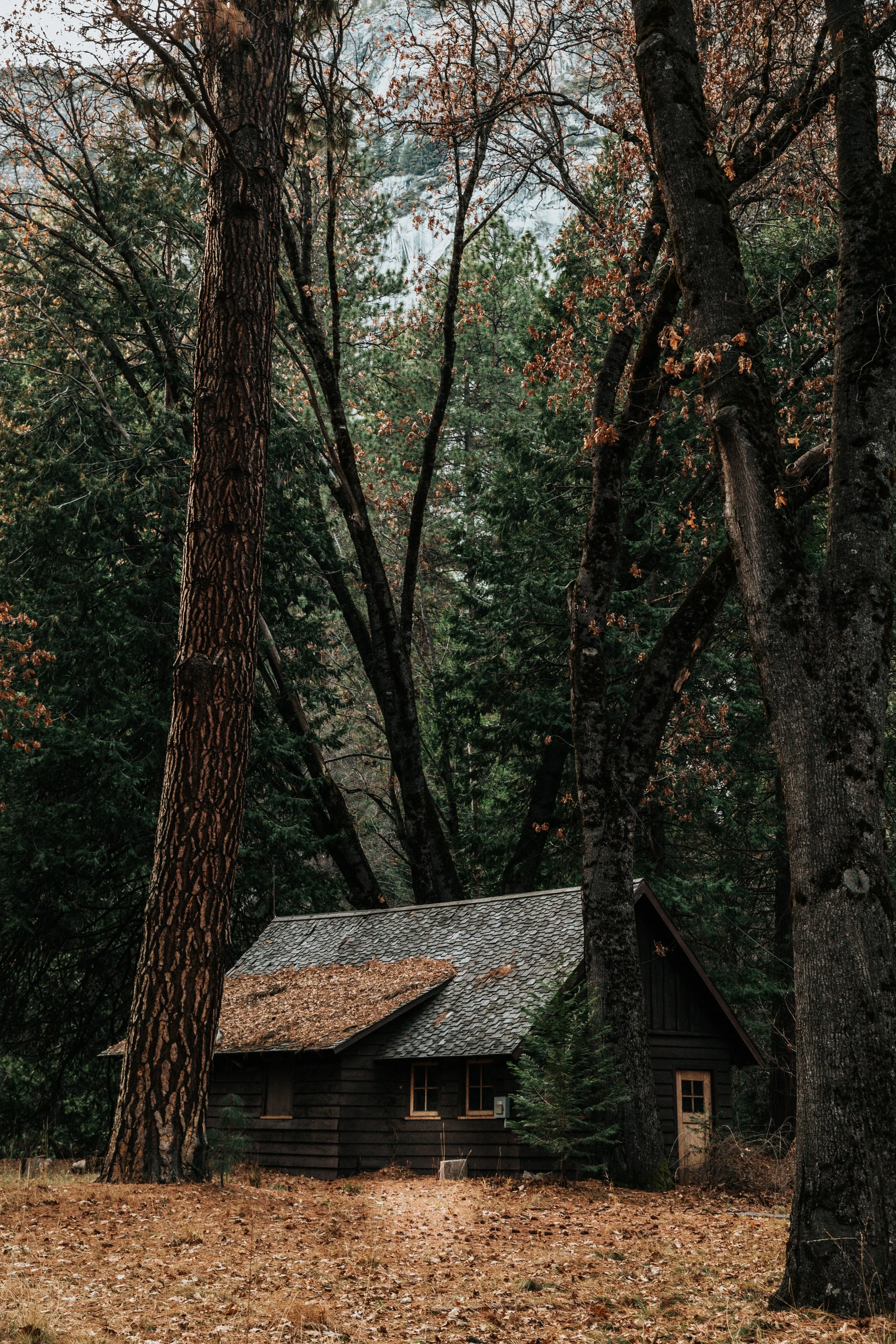 Searching for the Hearth