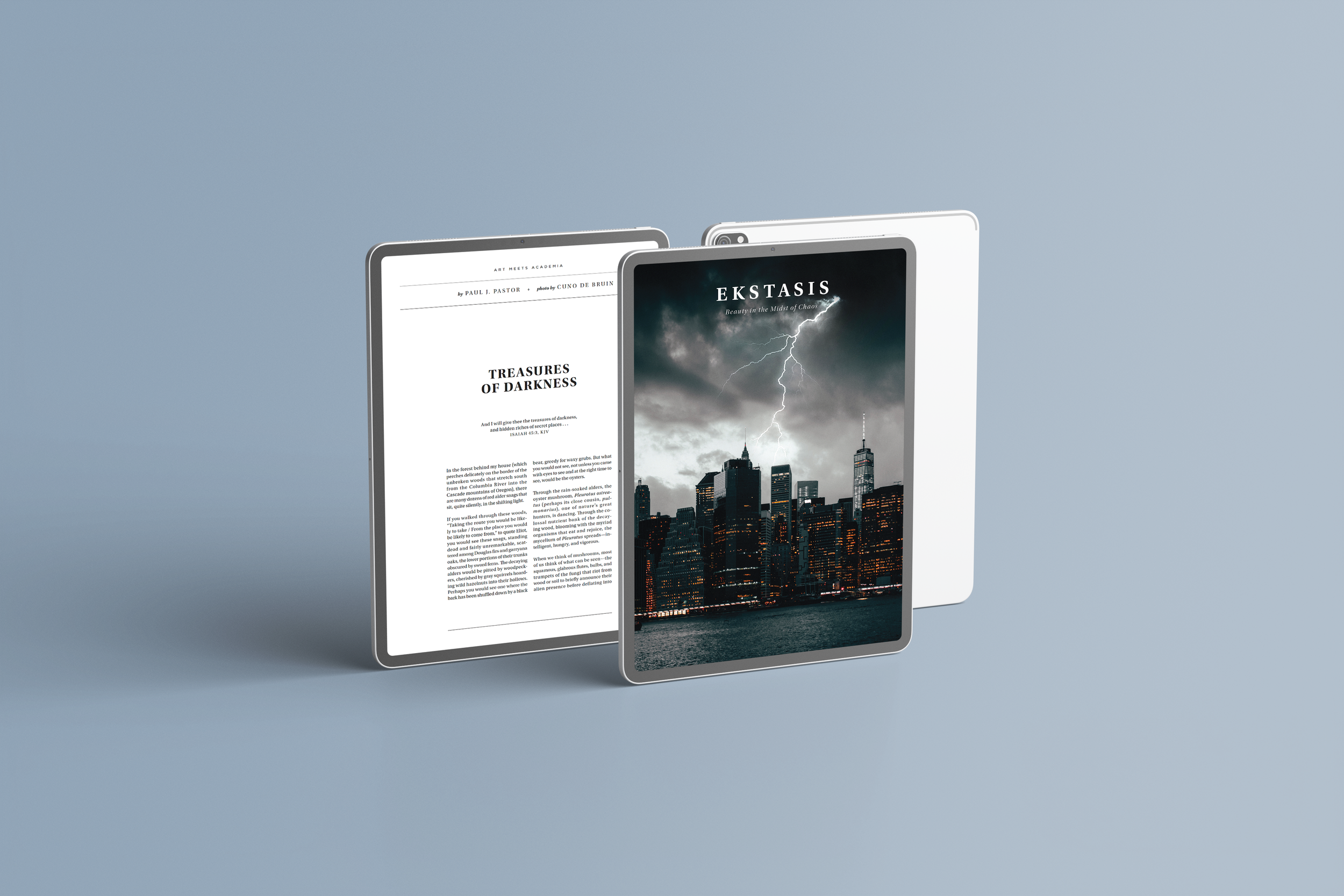 Issue 9: Digital